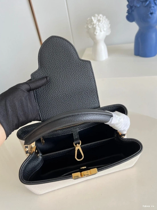 BB VUITTON CAPUCINES LOUIS 0817